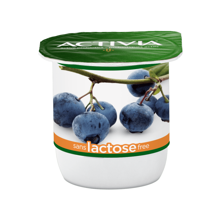 Blueberry Lactose Free Yogurt