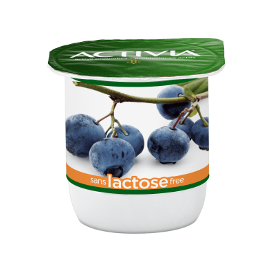 Yogourt sans lactose aux bleuets