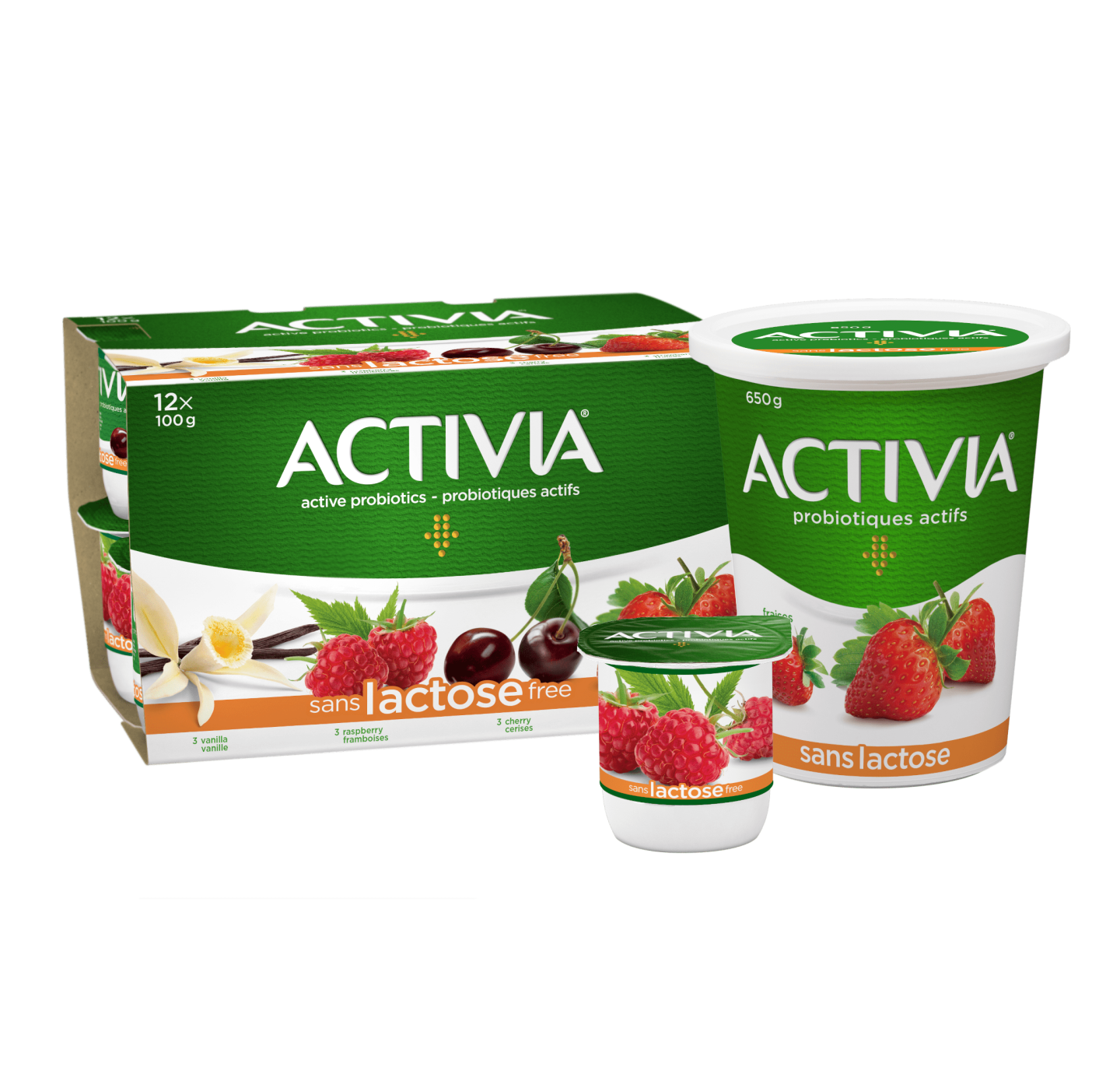 Yogourts sans lactose Activia