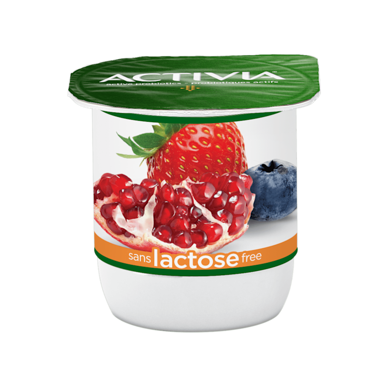 Lactose Free Probiotic Yogurts I Activia Canada