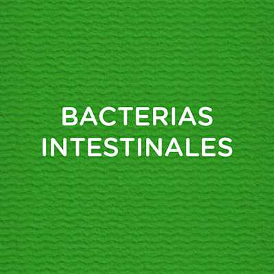 BACTERIAS INTESTINALES