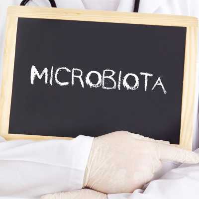 Microbiotica e obesita