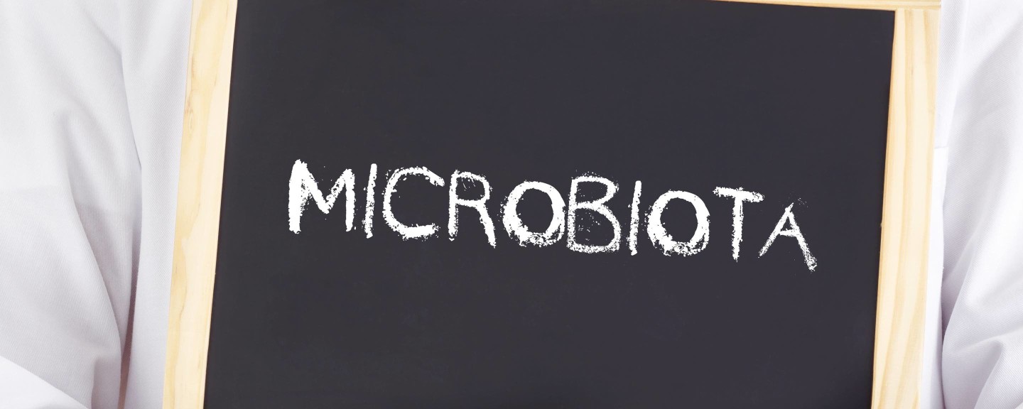 Microbiota intestinale e obesita: scoperta la relazione.