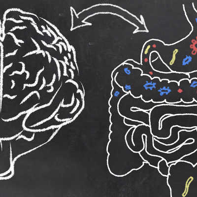 L'intestino è un secondo cervello: perché si dice così?