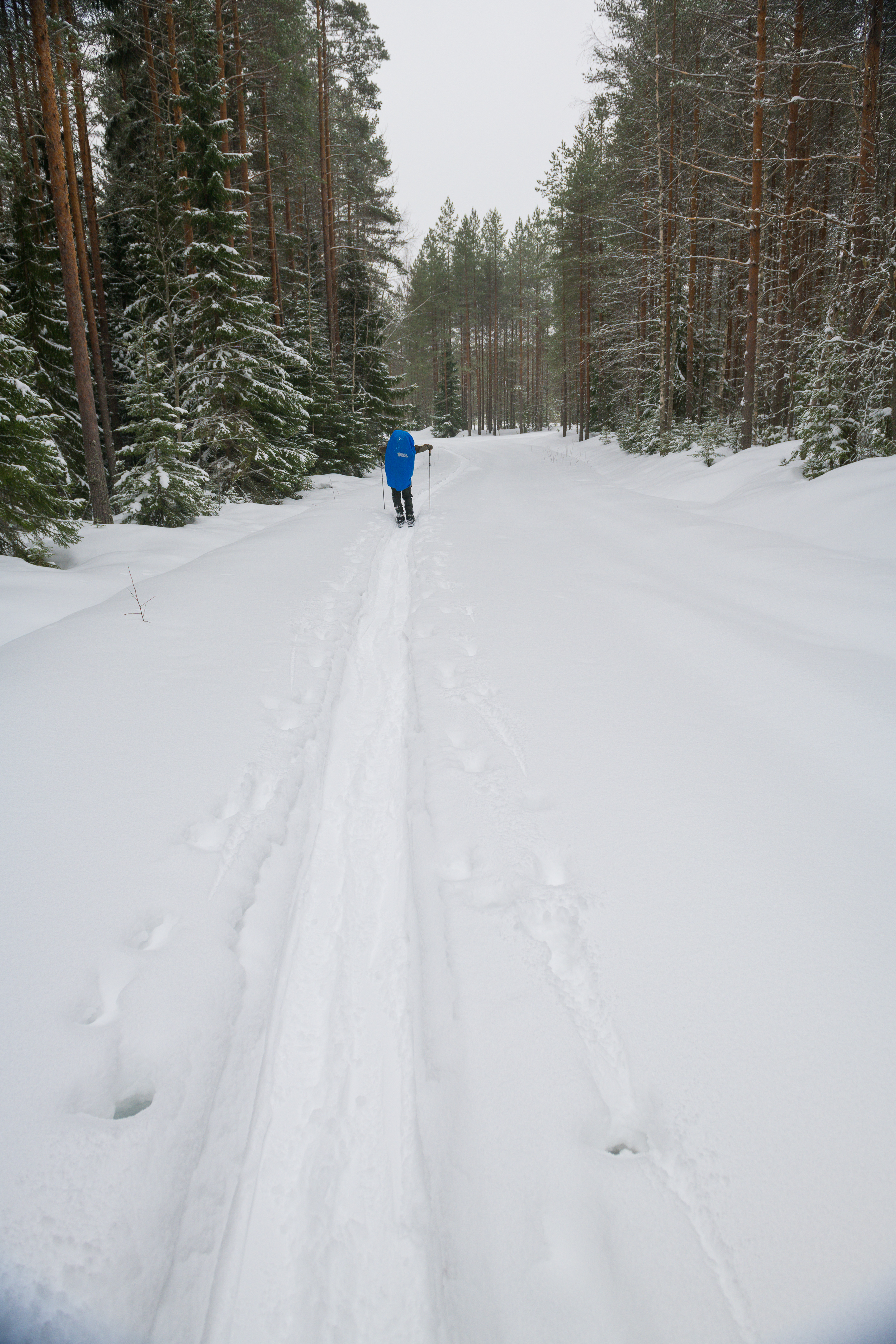 Paluu oli kevyempää sillä hiihdimme takaisin samaa reittiä | ISO 160 | 24mm | f 5,6 | 1/125sec