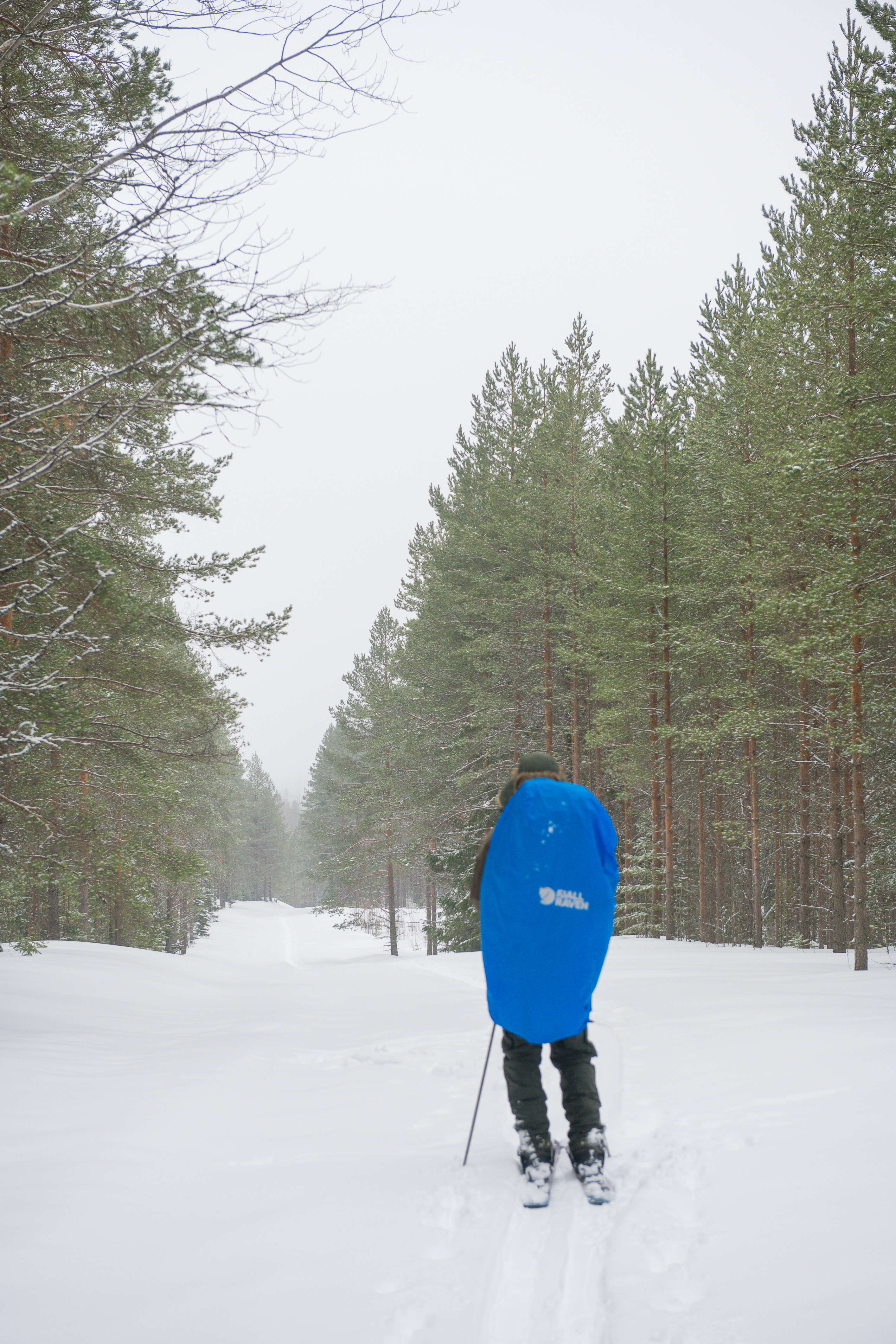 Lähestyvä alamäki | ISO 160 | 70mm | f 5,6 | 1/125sec