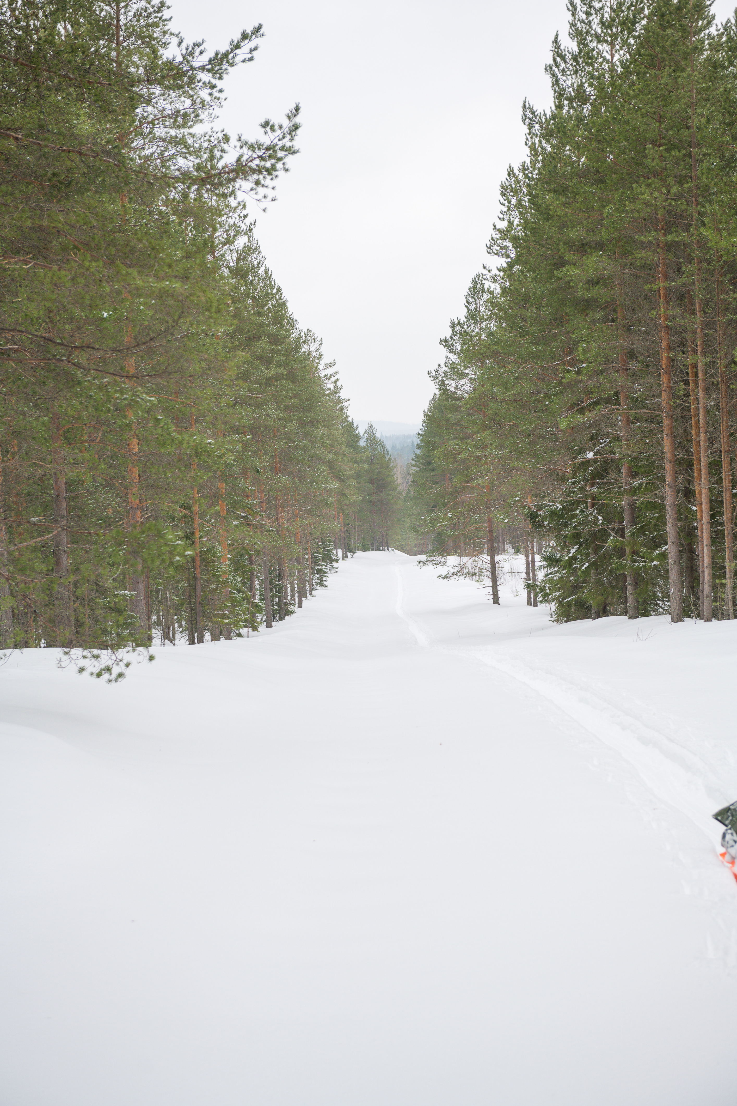 Kiitettävä nousu | ISO 200 | 70mm | f 5,6 | 1/80sec