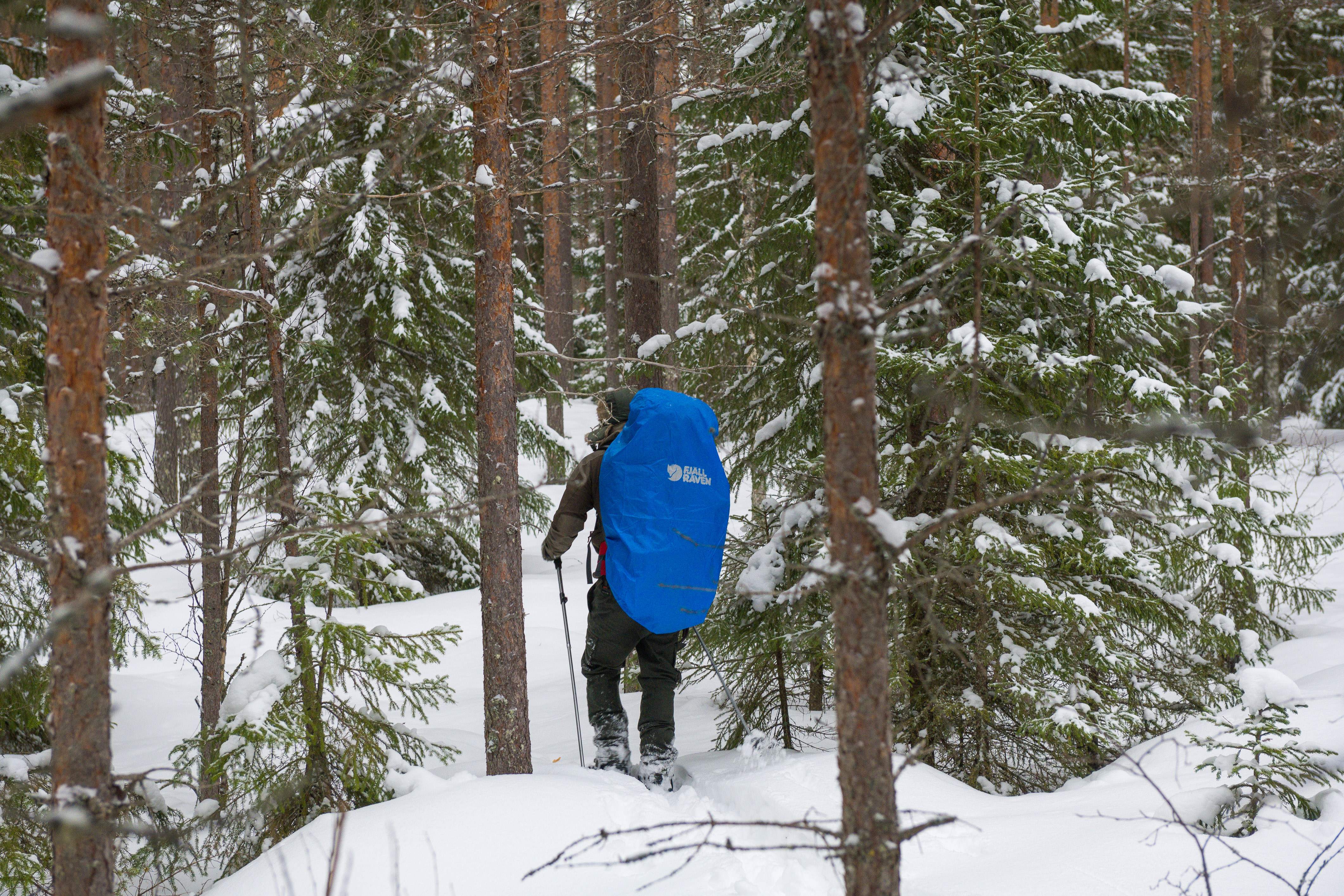 Ekskursio varsinaiselta Pirkan Taivaleen reitiltä | ISO 200 | 70mm | f 5,6 | 1/80sec