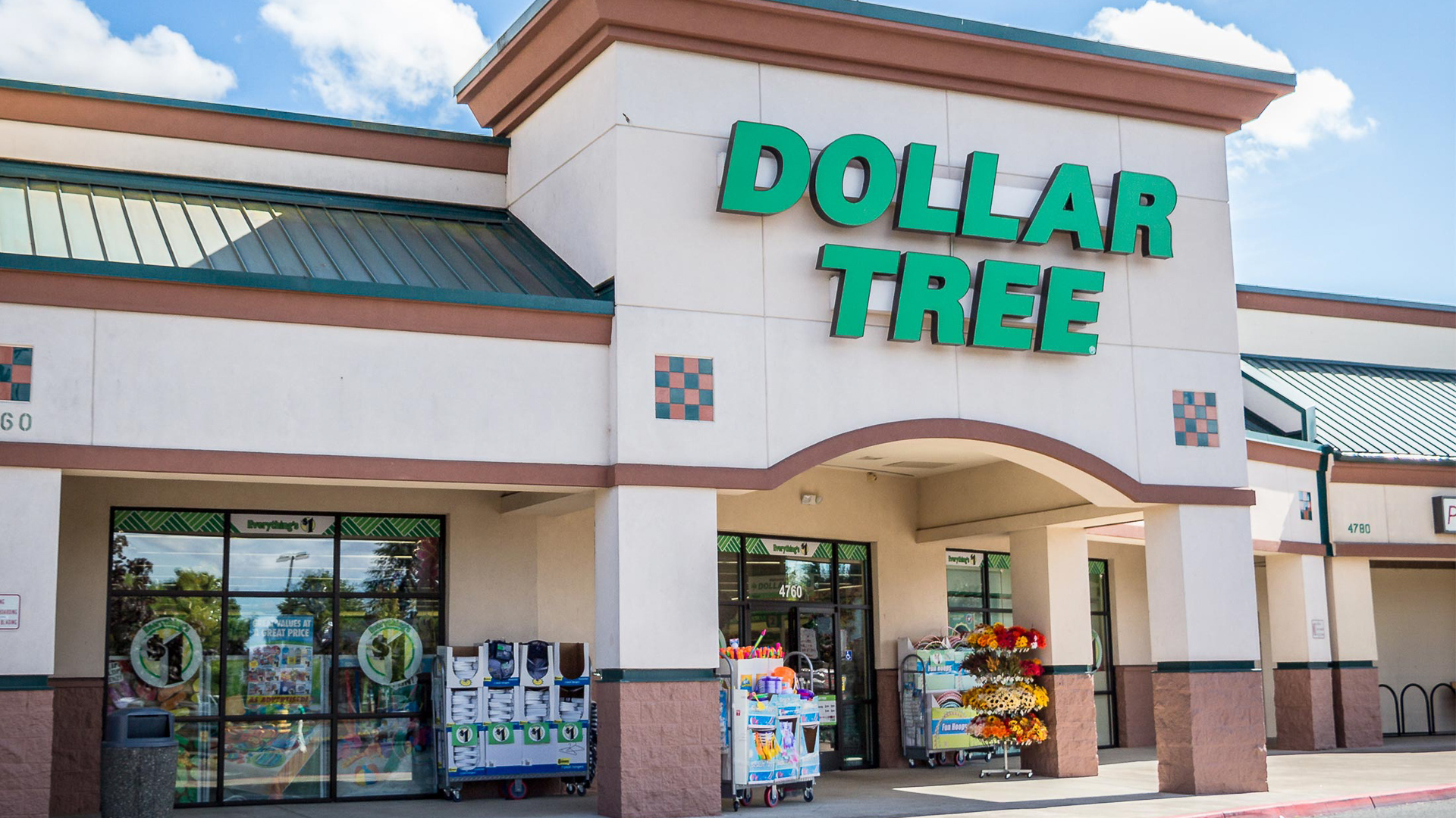 Best Fall Items To Buy at Dollar Tree, Five Below & More