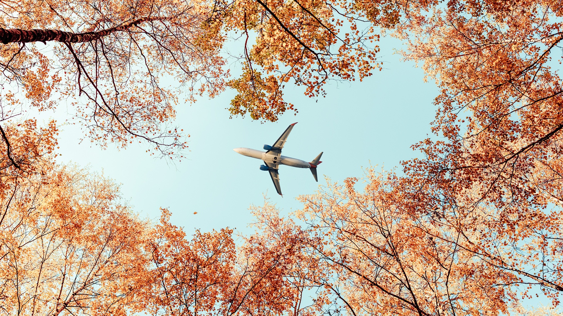 Fall Travel Deals Are Here: The Best Ways To Save