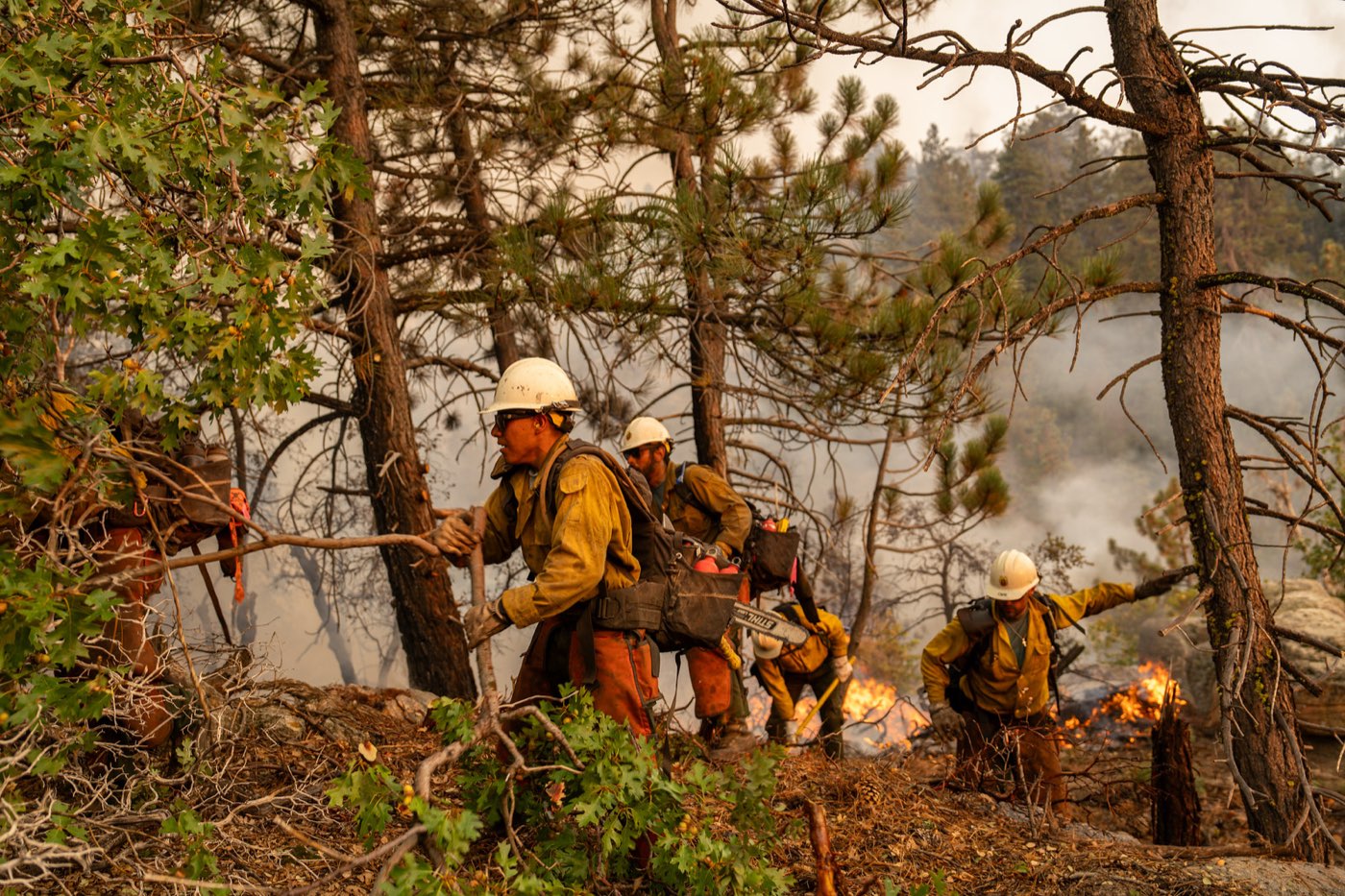 A wildland fire crew working a forest fire line during a multi-day assignment