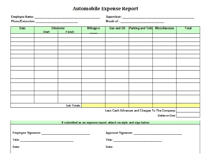 TemplateData's Auto Expense Report