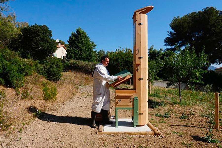 Image ruche Les abeilles, maillon essentiel de la biodiversité