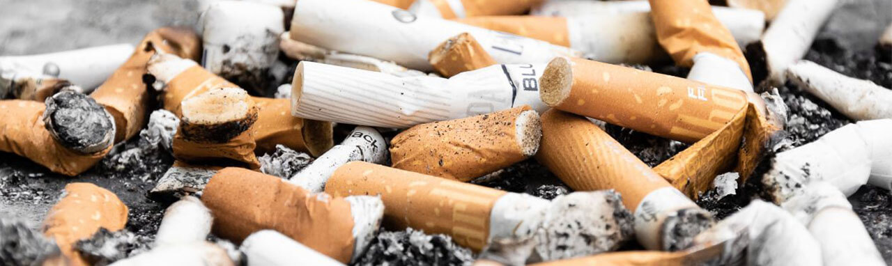 Des mégots de cigarettes renversés sur le sol