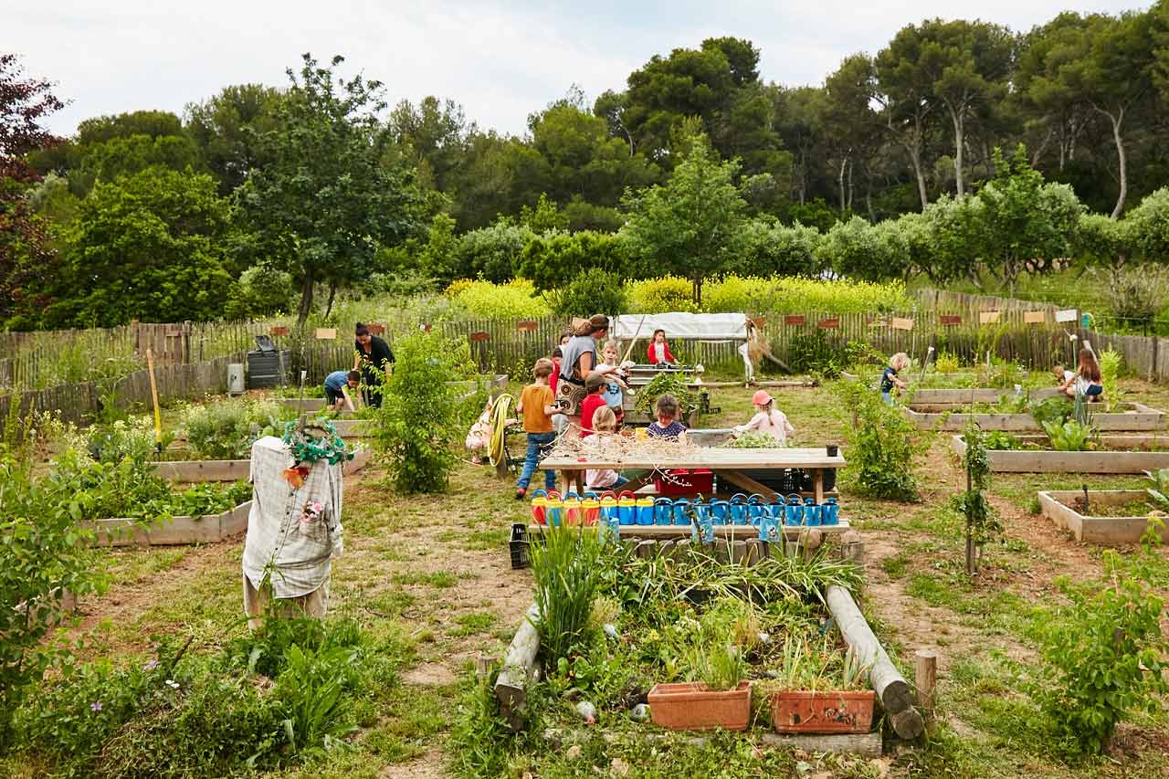 Partenariat avec le Conservatoire du littoral - Image 3 - Le Petit Marseillais - fr-FR