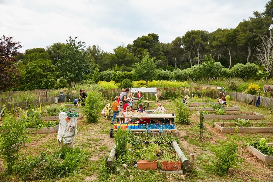 Image 4 Vers une agriculture durable et locale