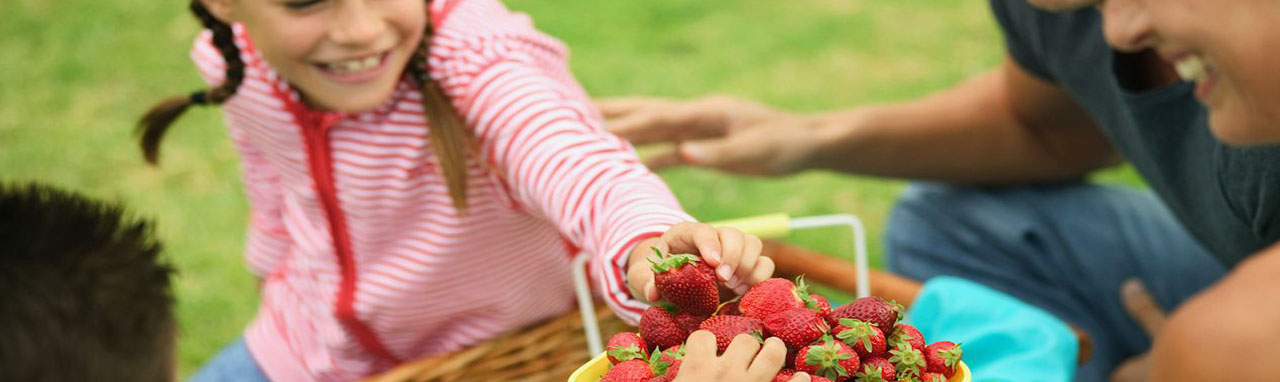 Une famille sont assis dans l'herbe devant un plateau de fraise