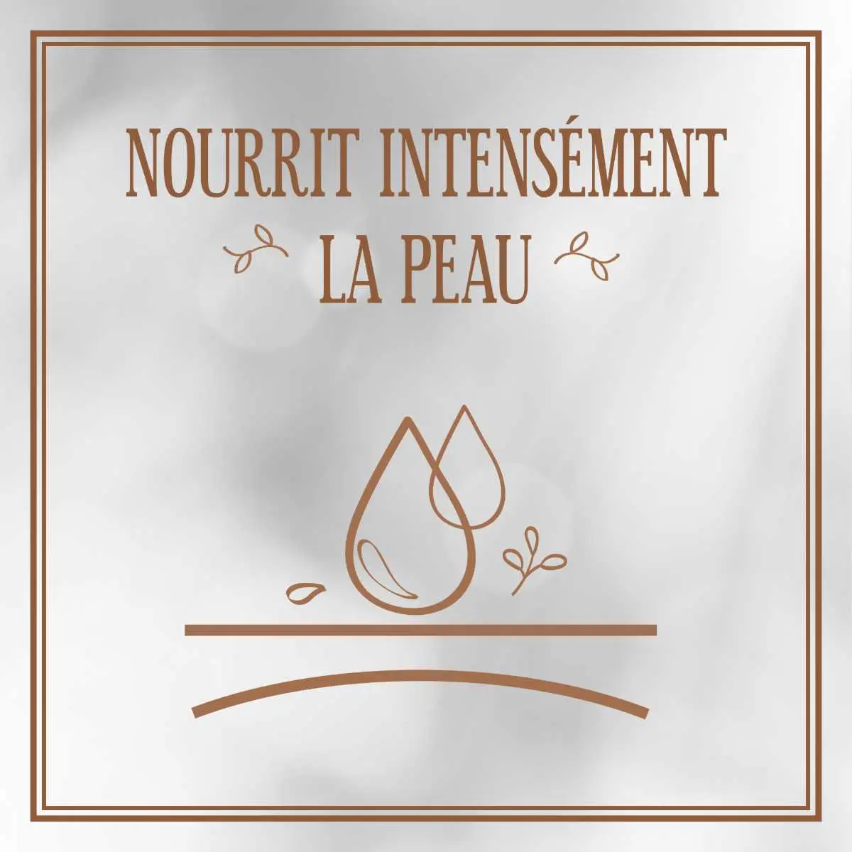 Lait Corps Nutrition Intense Cacao et Karité - Image 3 - Le Petit Marseillais - fr-FR