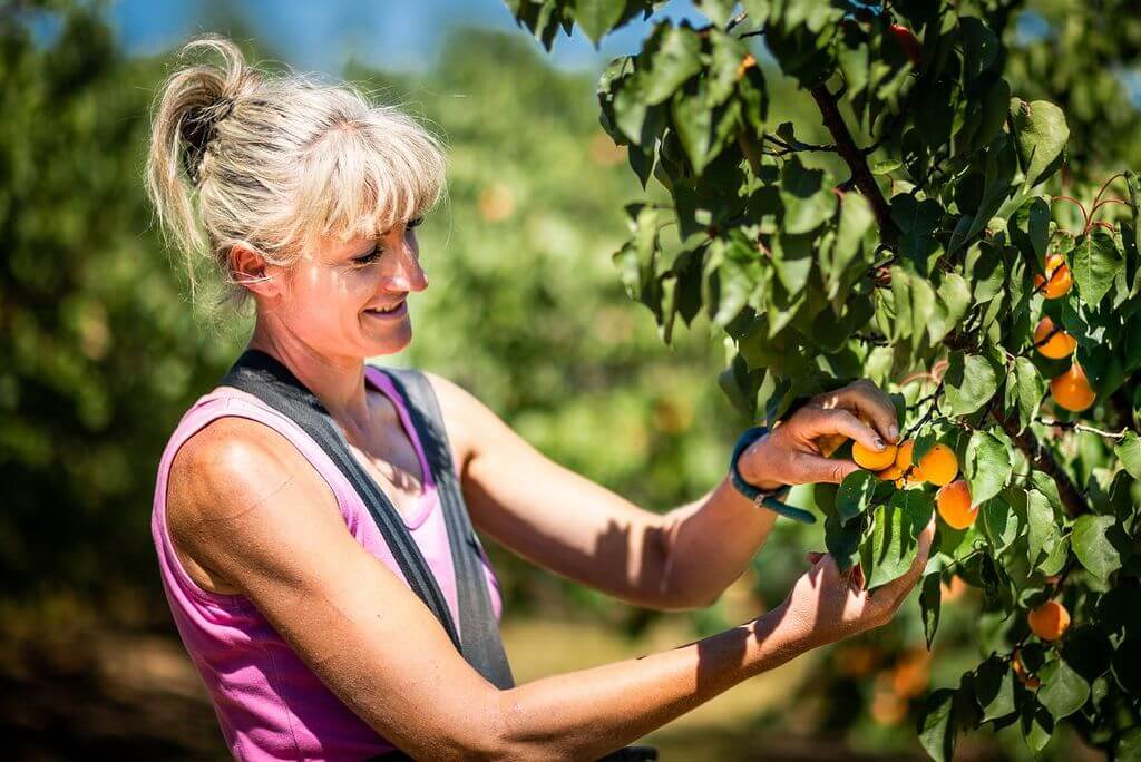 Les petits producteurs Le petit Marseillais