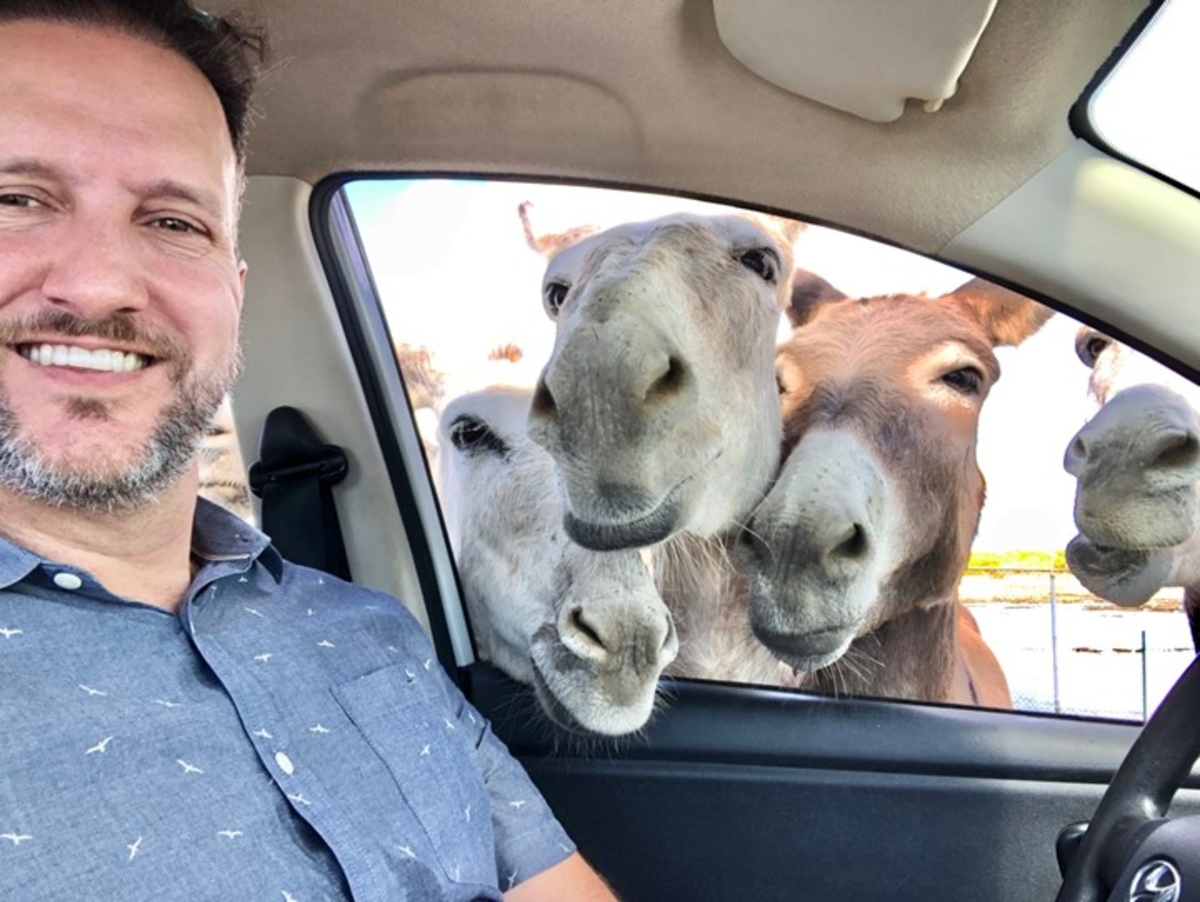 Randy in Bonaire with donkeys