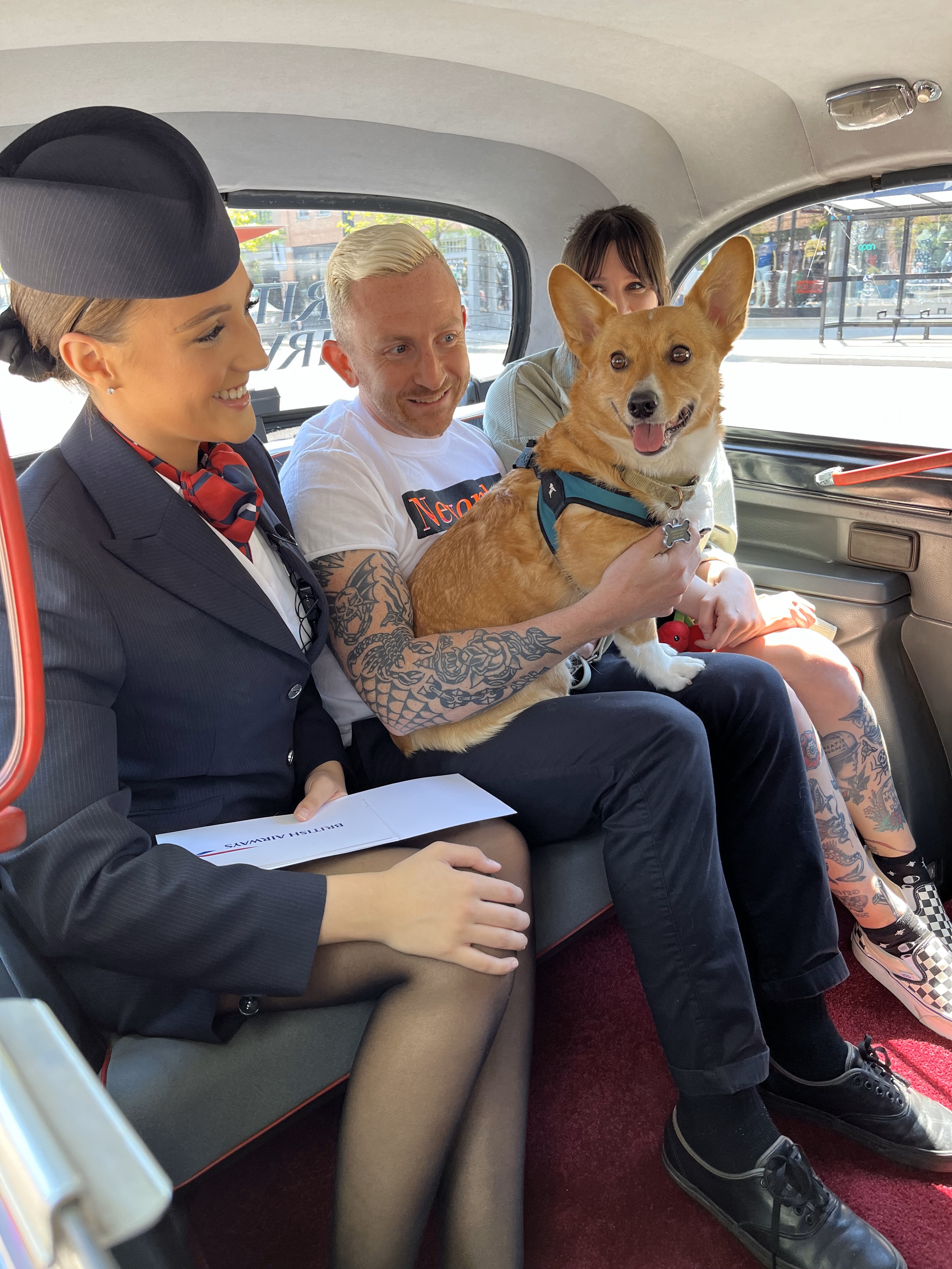 Flying with a dog best sale british airways