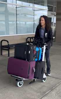Luggage cart