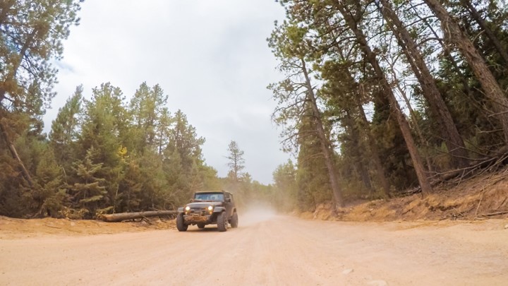 Jeep driving through forest