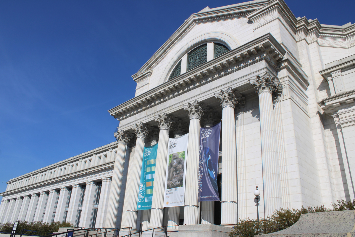 The Smithsonian Museum of Natural History