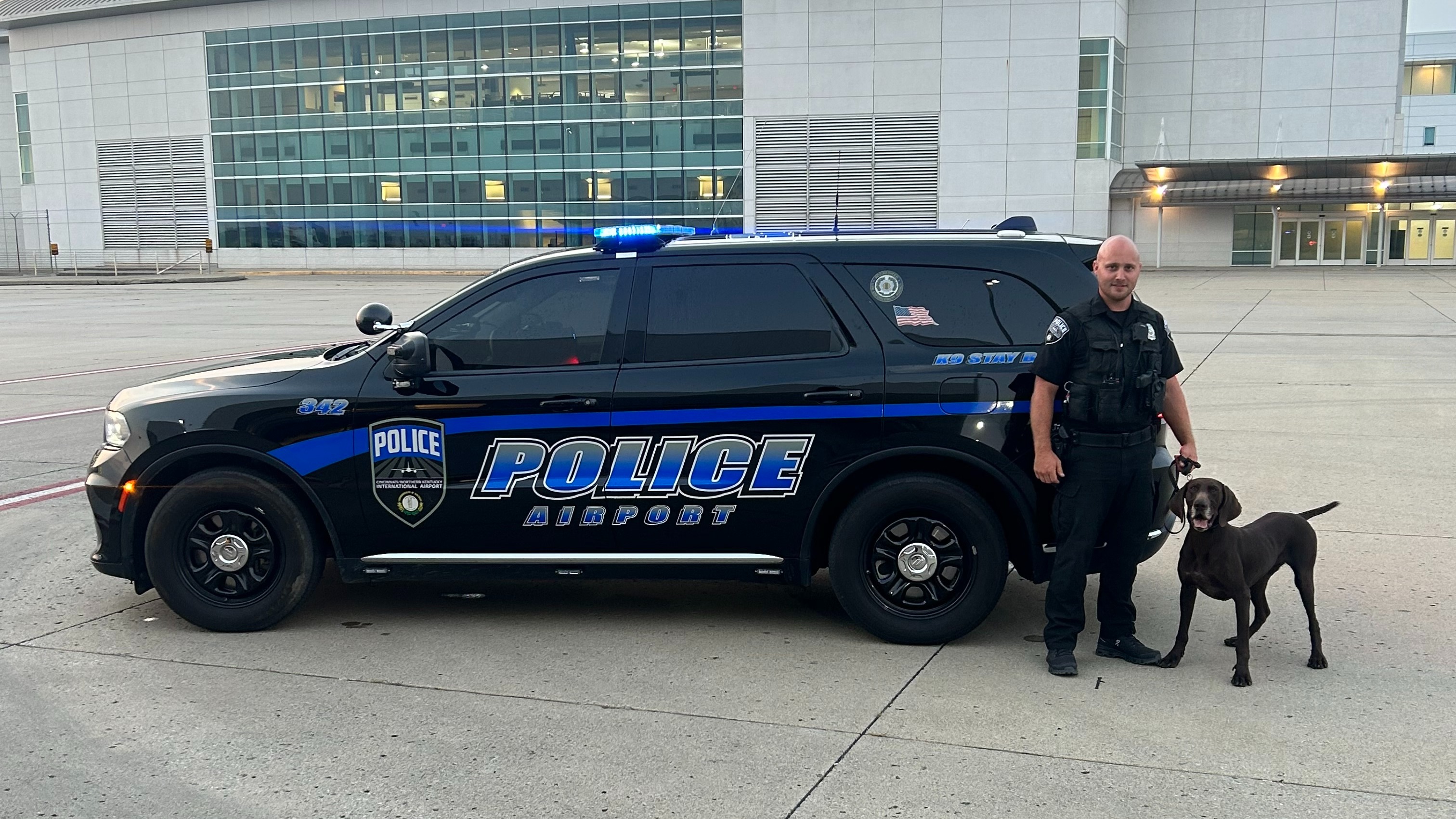 Meet Brick, one of CVG's canine officers