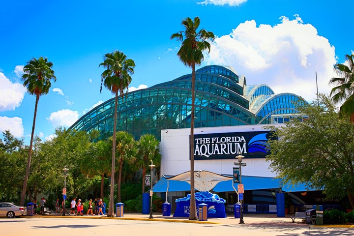 The Florida Aquarium