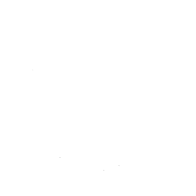 Black-Rooster-Logo-Updated