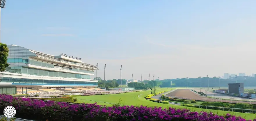 Singapore Turf Club Casino