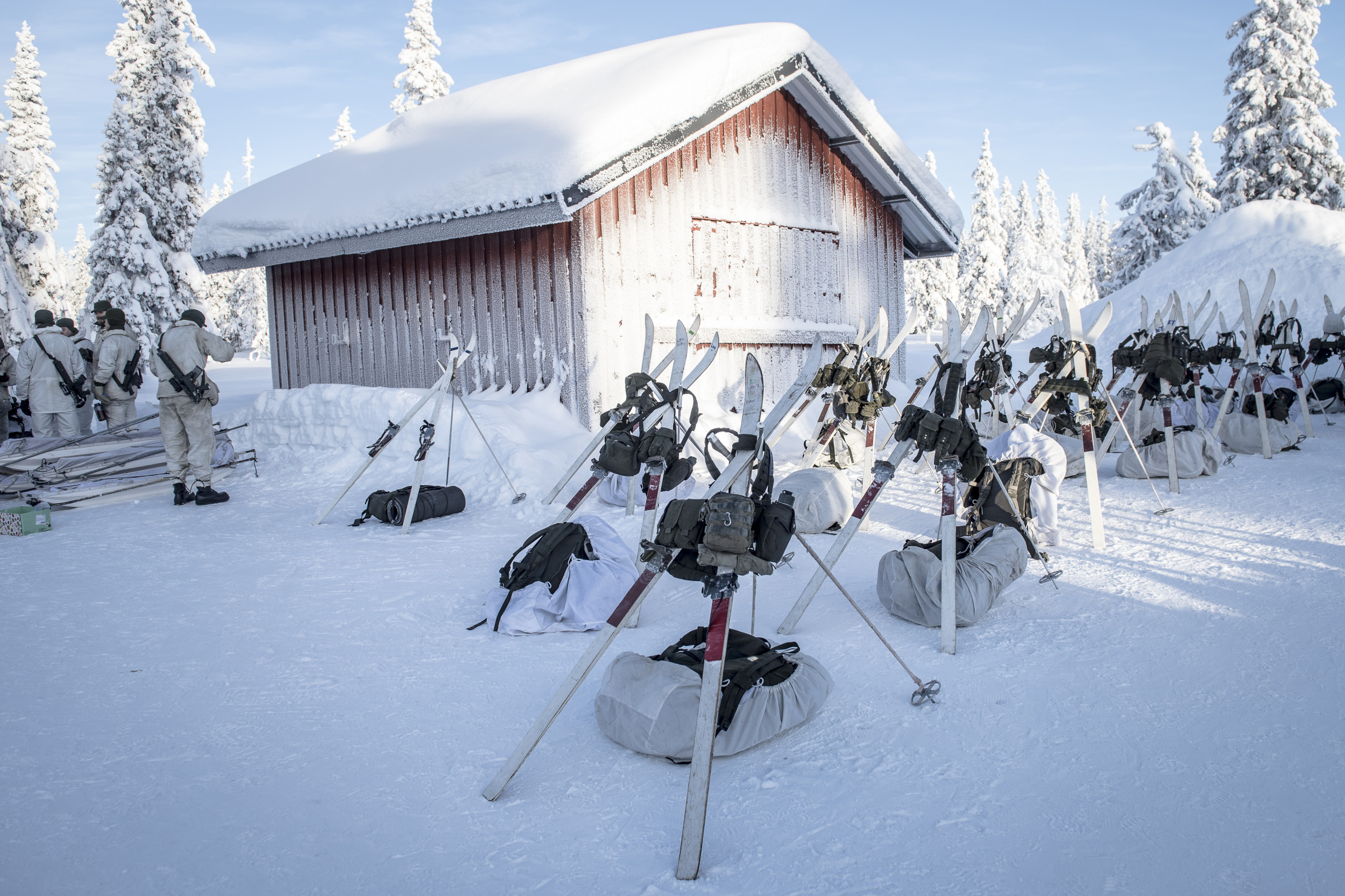 Skidor (Vita blixten) står uppställda under vinterutbildning med kadetter i Arvidsjaur, 2019 Foto: Hampus Hagstedt/Försvarsmakten