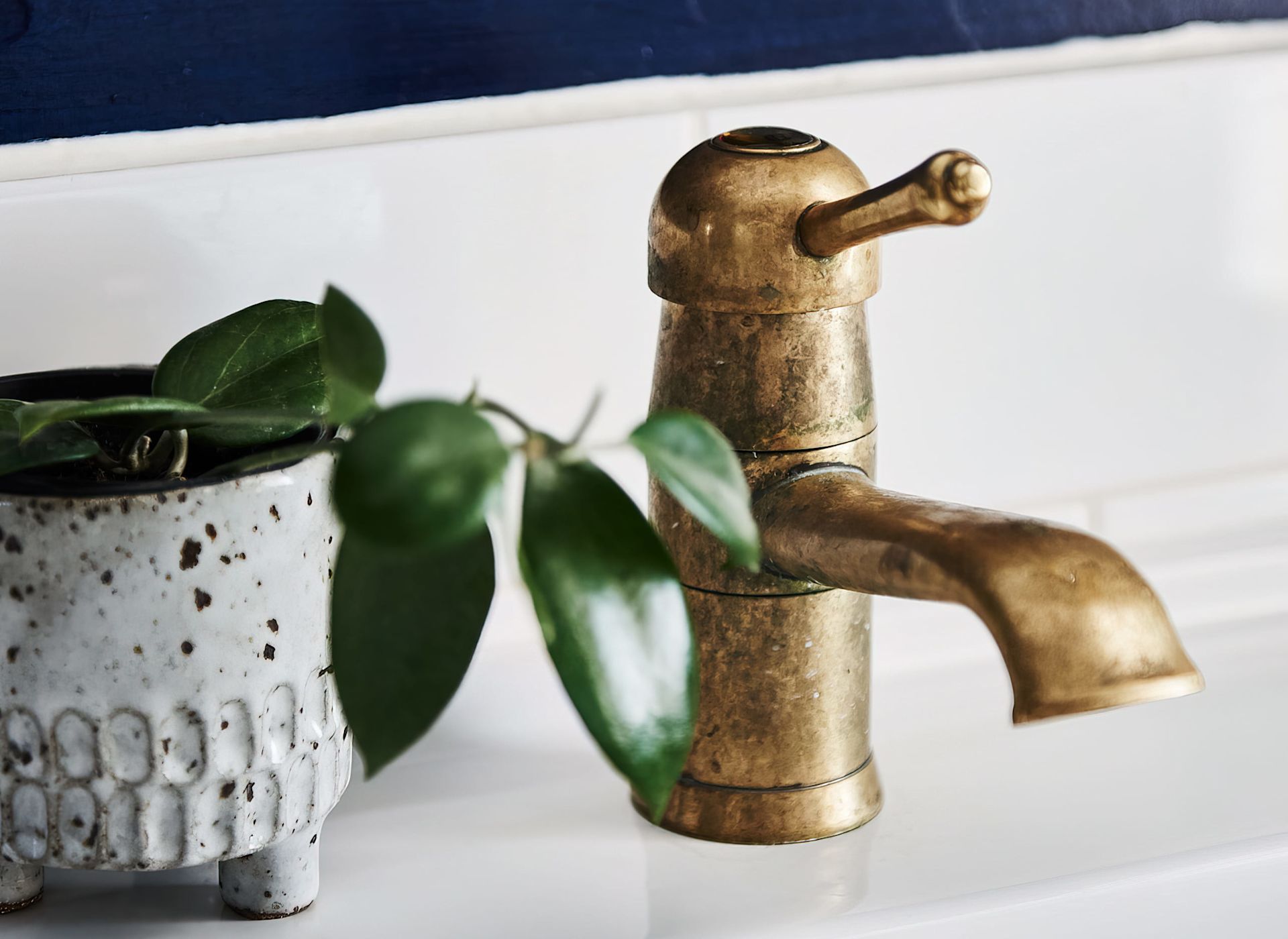 Barkly Street-brass tap_indoor plant