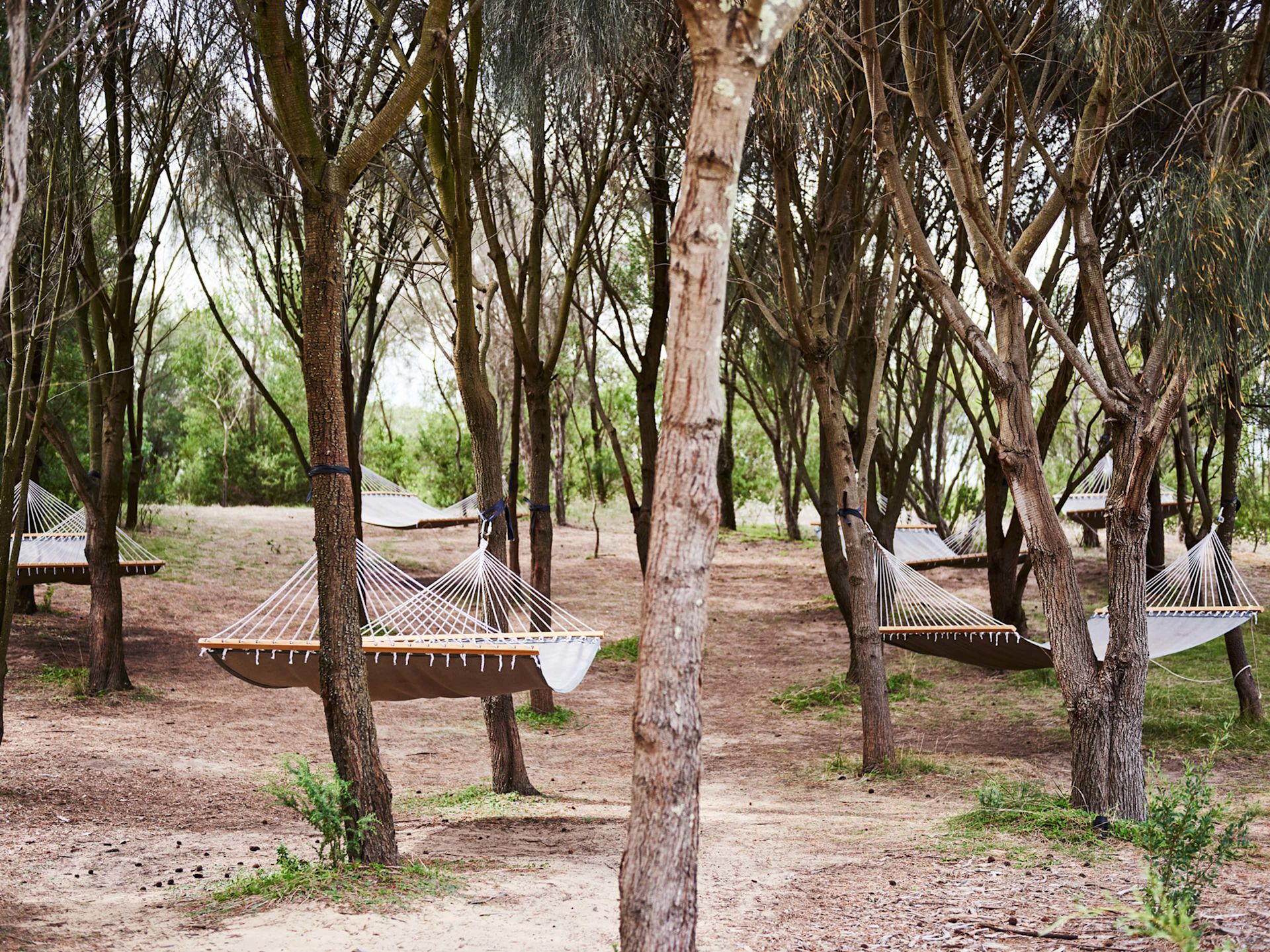 bathing experiences_hammocks in nature