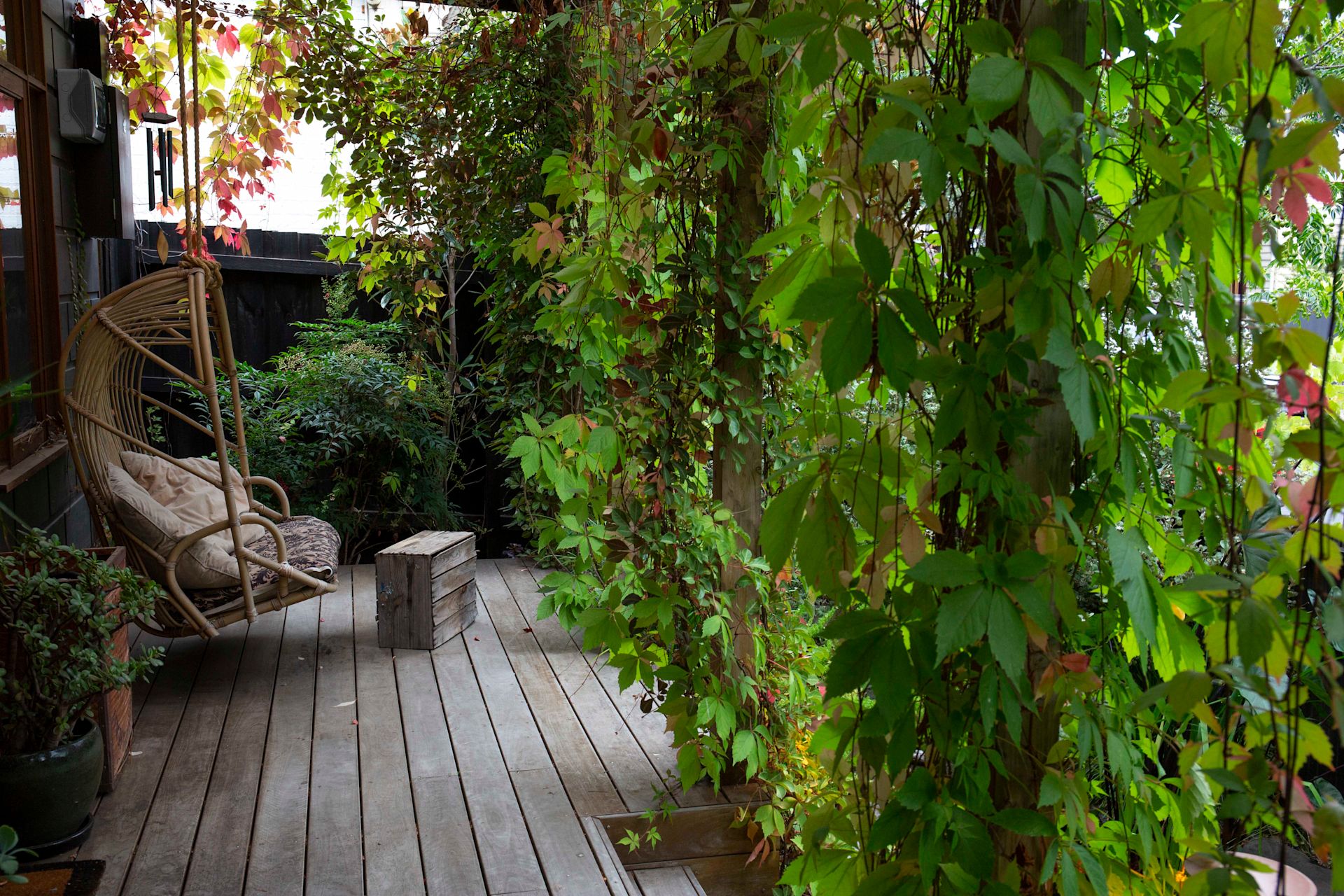 Hutchinson Street front deck with greenery