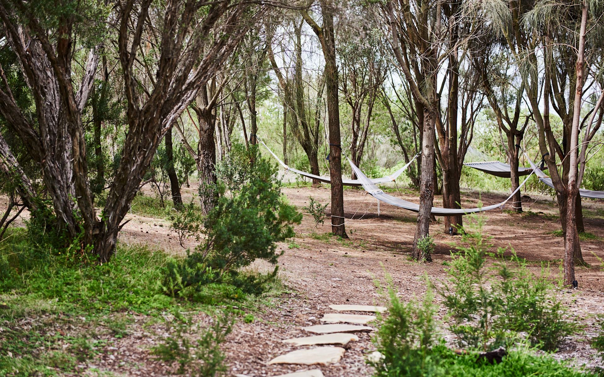 bathing experiences_tree hammocks_stone path