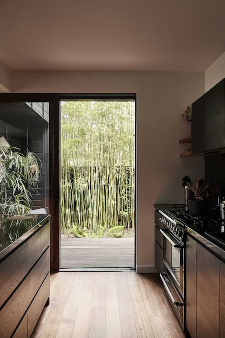 Hutchinson Street_bamboo courtyard_black kitchen