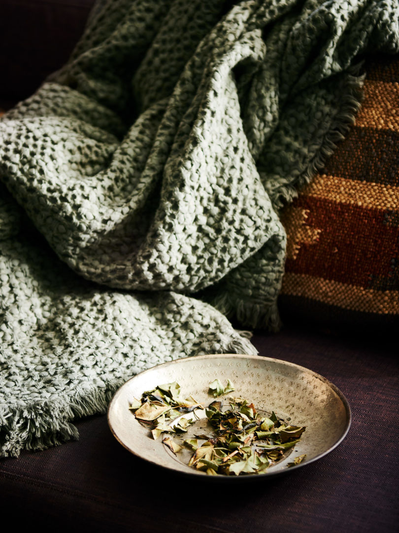 treatment rooms_green throw rug_textile textures