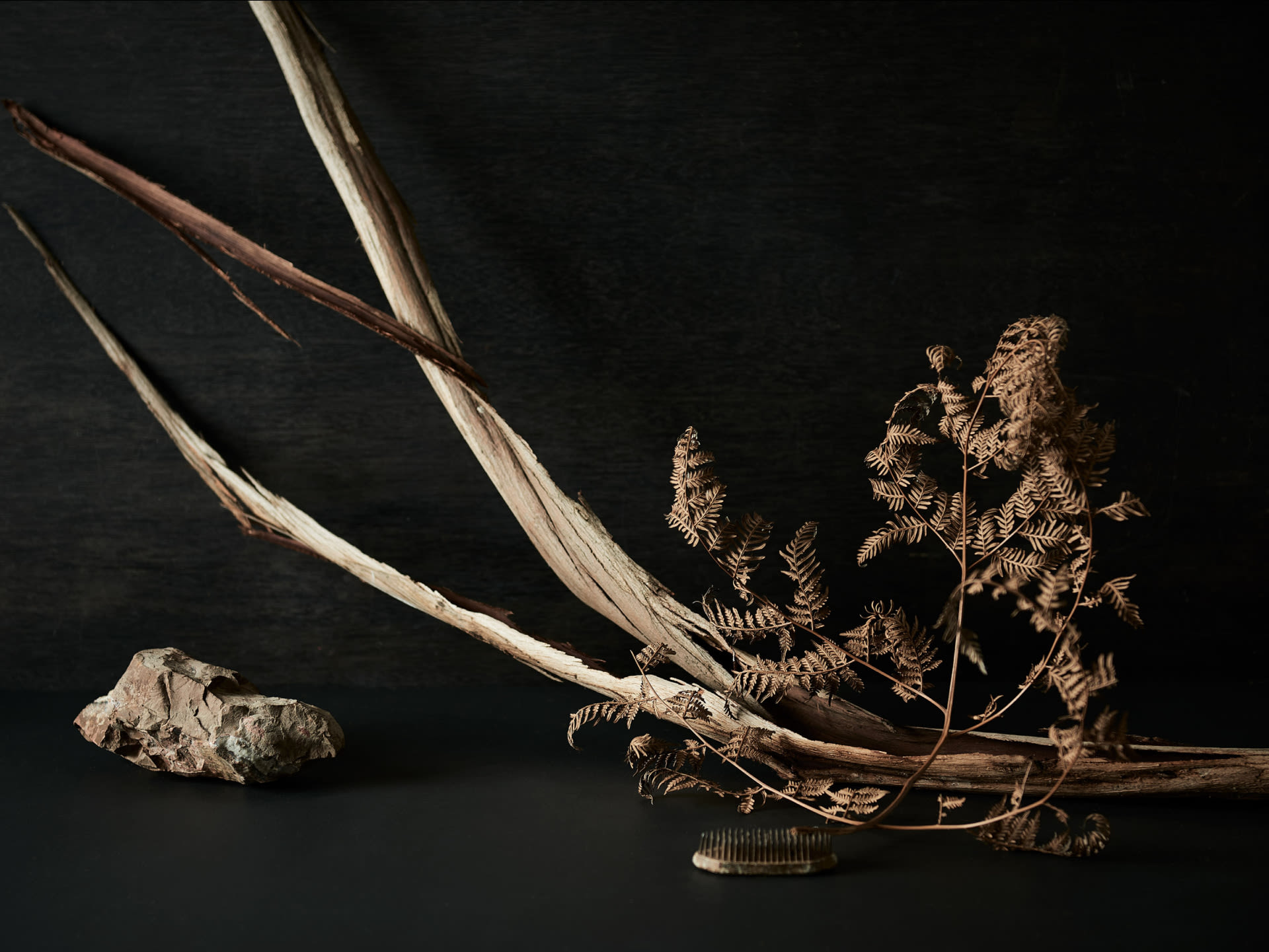 Still life_acknowledgement to country_wurrundjeri land_