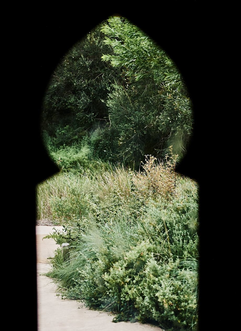 treatment rooms_keyhole photography_green garden