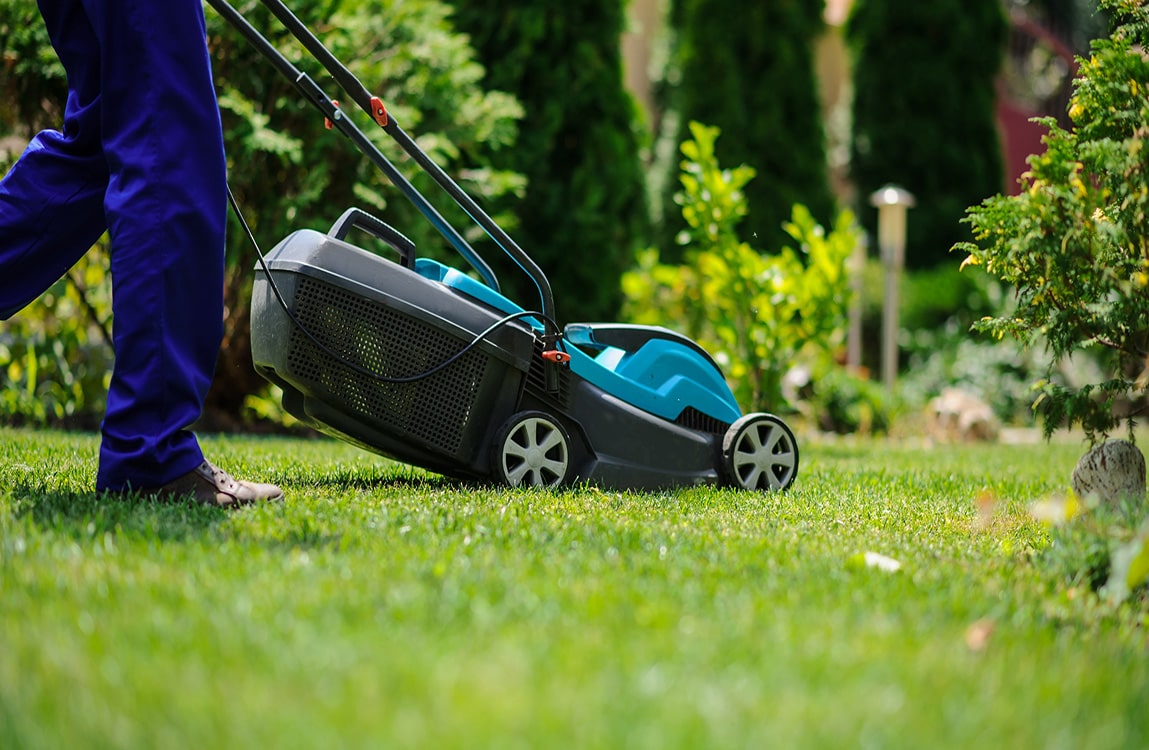 Electric Mower