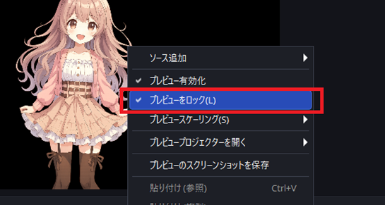 20251130 3-プレビュー画面のロック
