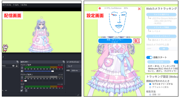 画像5 実際の配信画面