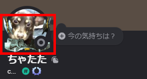 20250710 6-Discordアイコン表示手順④