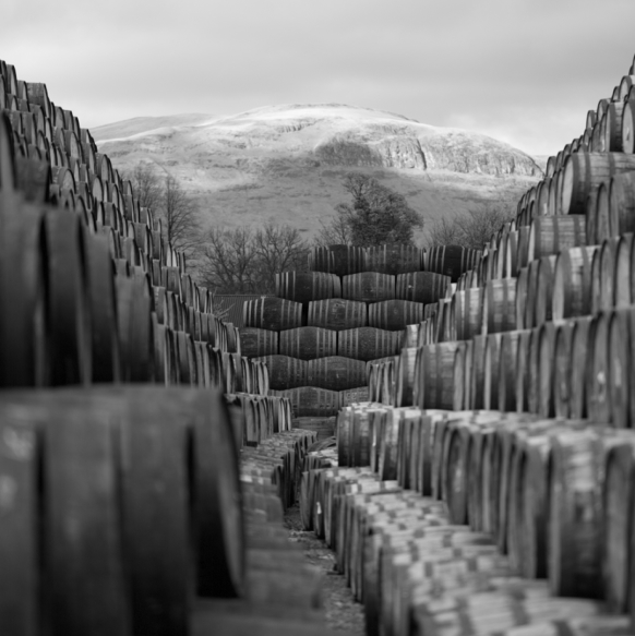 Johnnie Walker Casks at the distillery