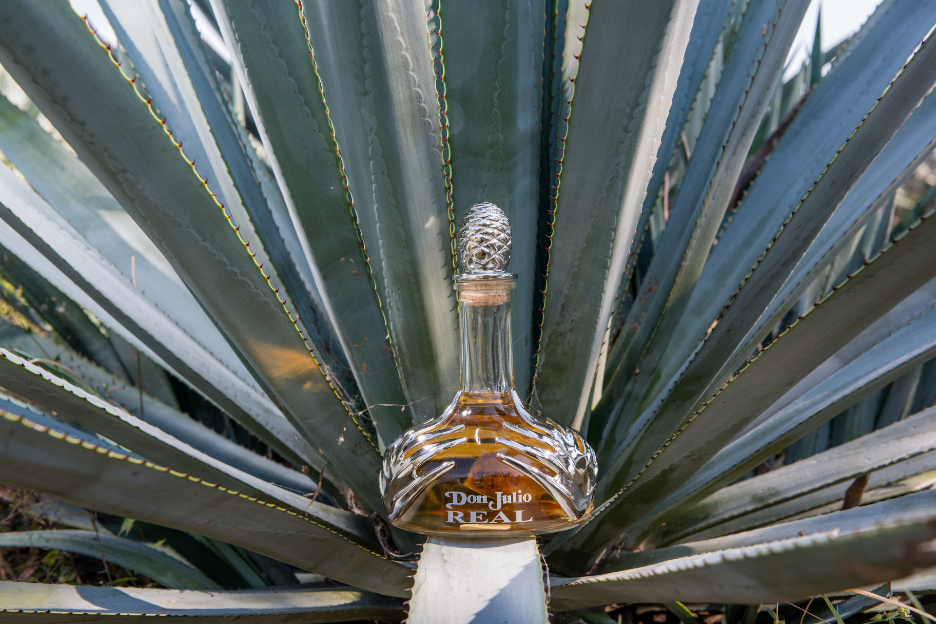 Real Tequila Video Poster
