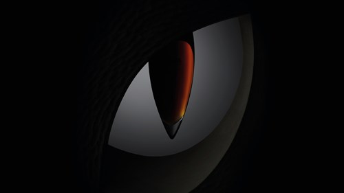 Diageo Rare and Exceptional Video Poster