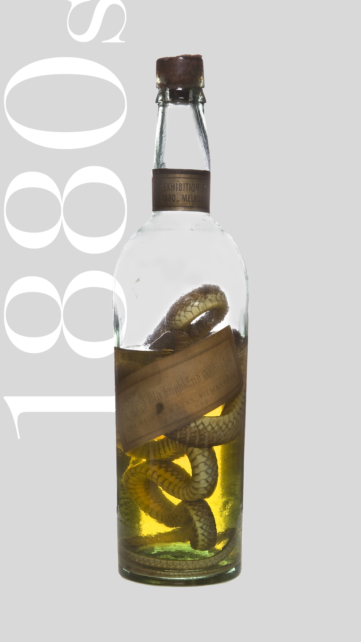 Johnnie Walker 1880 'Snake Edition' Whisky Bottle with snake inside