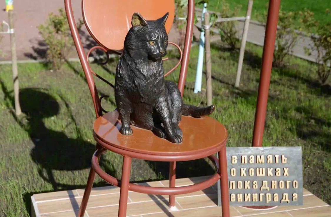 Республика котов и кошек